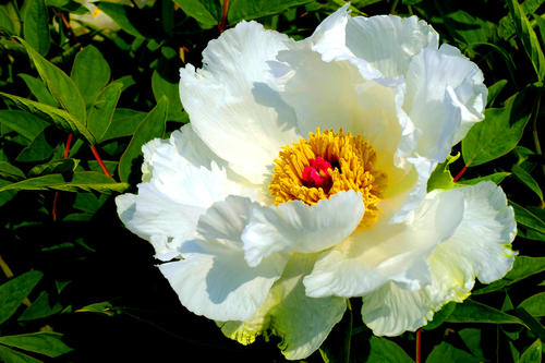 离雨微凉|一个家庭的好风水，离不开这三点