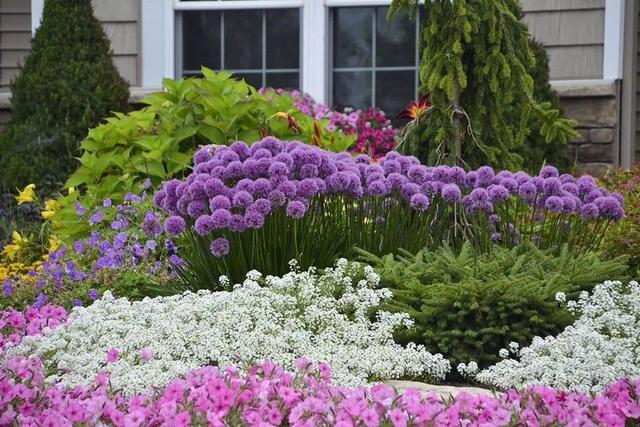 打造一块花境需要注意些什么?花境设计要求有哪些?