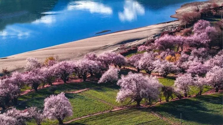 林芝 阳春三月，这6个中国最美的景点你都去过了吗