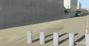 神回复 神回复:如果世界上所有的生物都开始反抗,人类可以撑多久