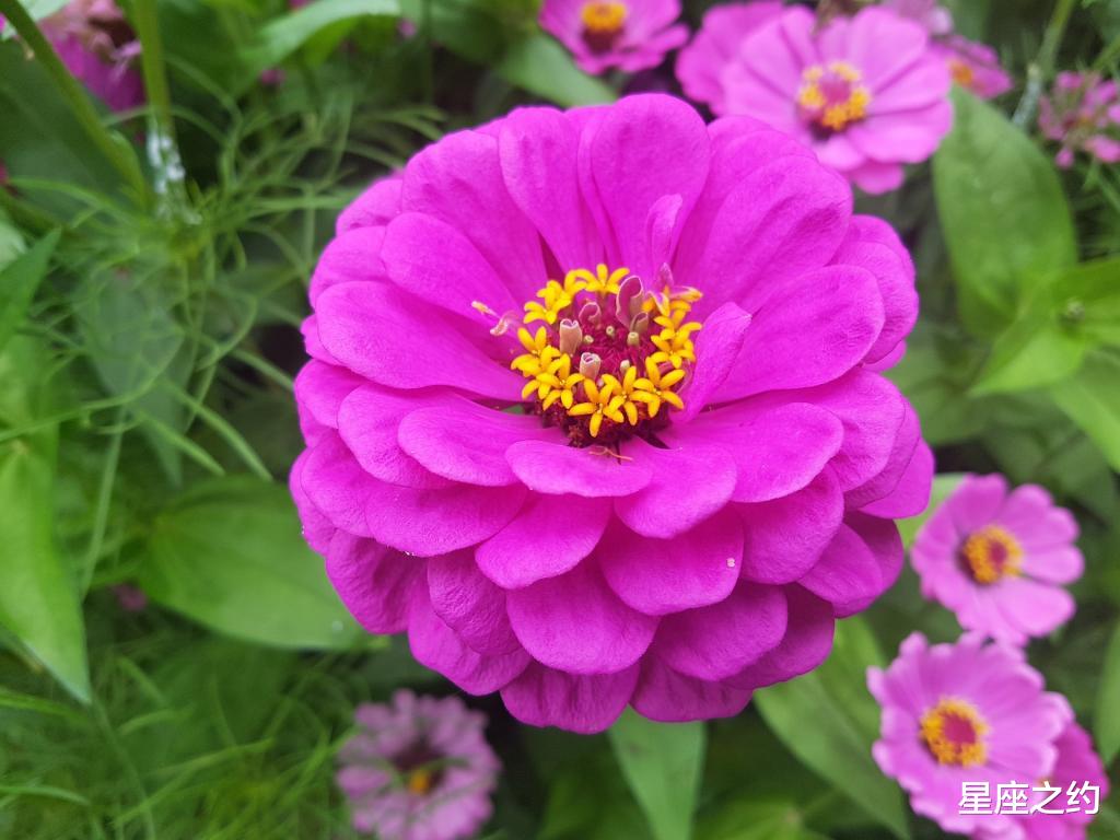 星座之约|在9月份，蓄势待发，迎接挑战，收获满满的三大星座