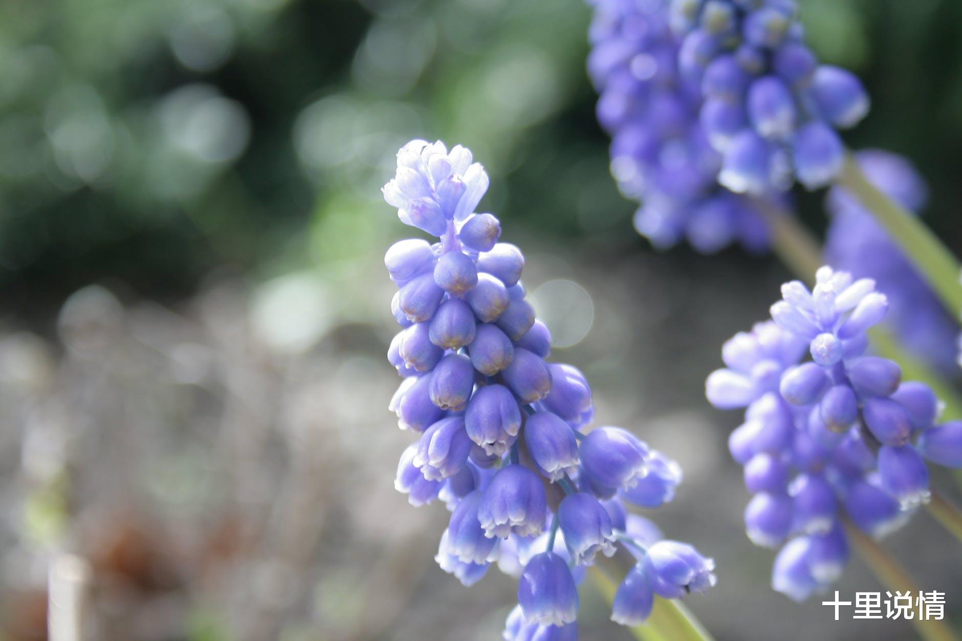 十里说情|这样的人，最不招人喜欢