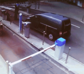 动物庄园|“漫展看到一位乌漆嘛黑妹子，请问她扮演的角色是谁？”