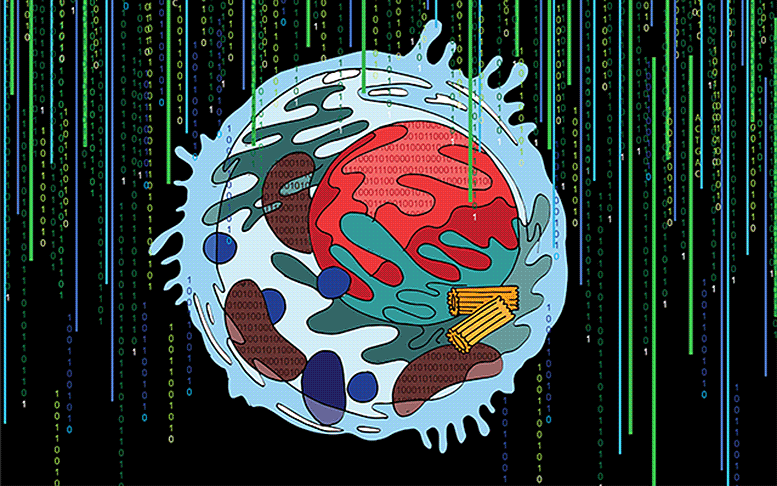 |人工智能揭示了以前未知的生物学--我们可能不知道我们细胞中的一半内容