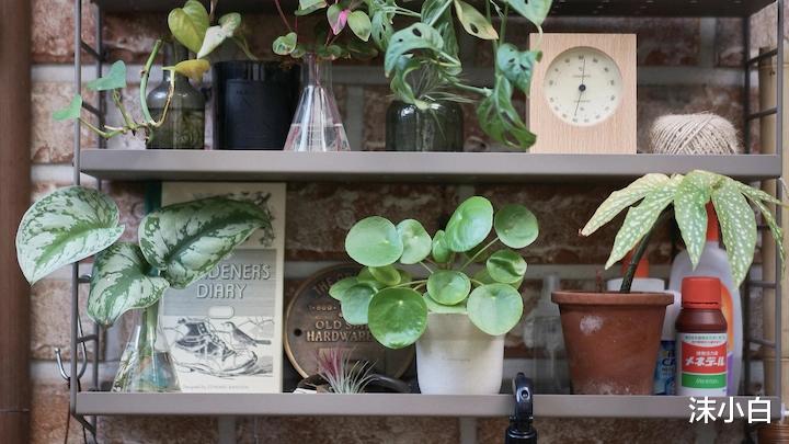 艺术总监爆改老破小:86㎡的老破庭院,尘封的岁月,方是平凡生活