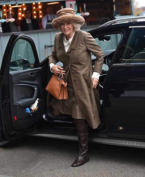 英国|卡米拉又获新任命！心里倍儿美，高调穿皮草亮相