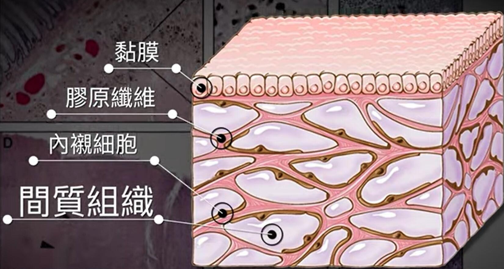 |科学发现中医中的经络穴位真的存在，古代医学家是如何发现的？
