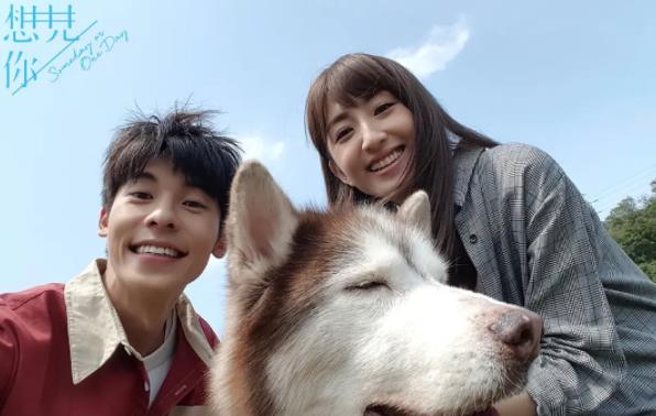 吴镇宇|《导演请指教》吴镇宇翻拍引争议，影评人无脑吹本人都听不下去？