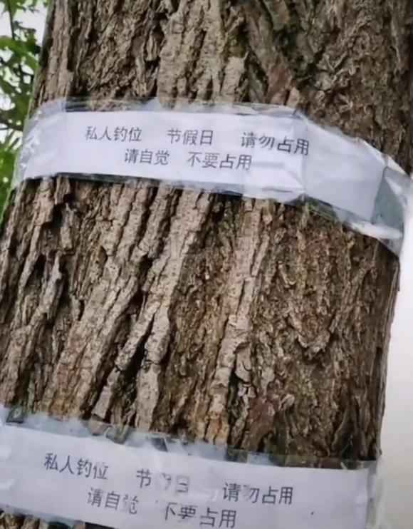 |钓友带了一瓶酒米，整个塘都是他的窝子！这种情况怎么办？