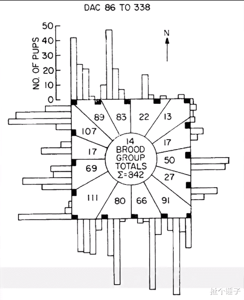 扯个锤子 预言了人类结局的实验——老鼠乌托邦
