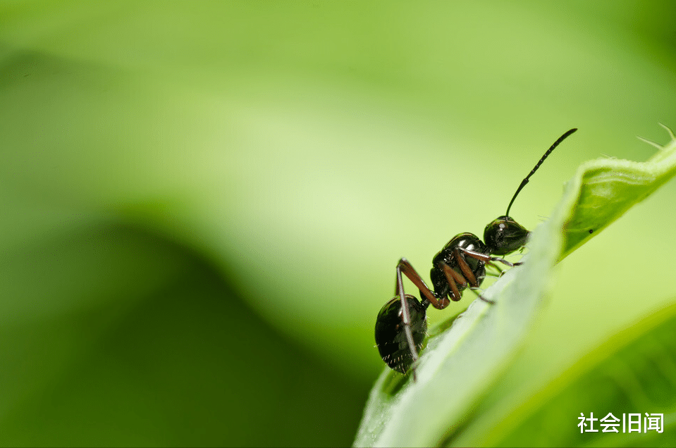 马克斯·普朗克 外星人为什么一直没被发现，我们被操控了吗？其实宇宙没那么简单