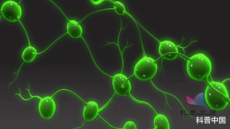 花生|淋巴结肿大,疼比不疼好!这些部位摸一摸可自查