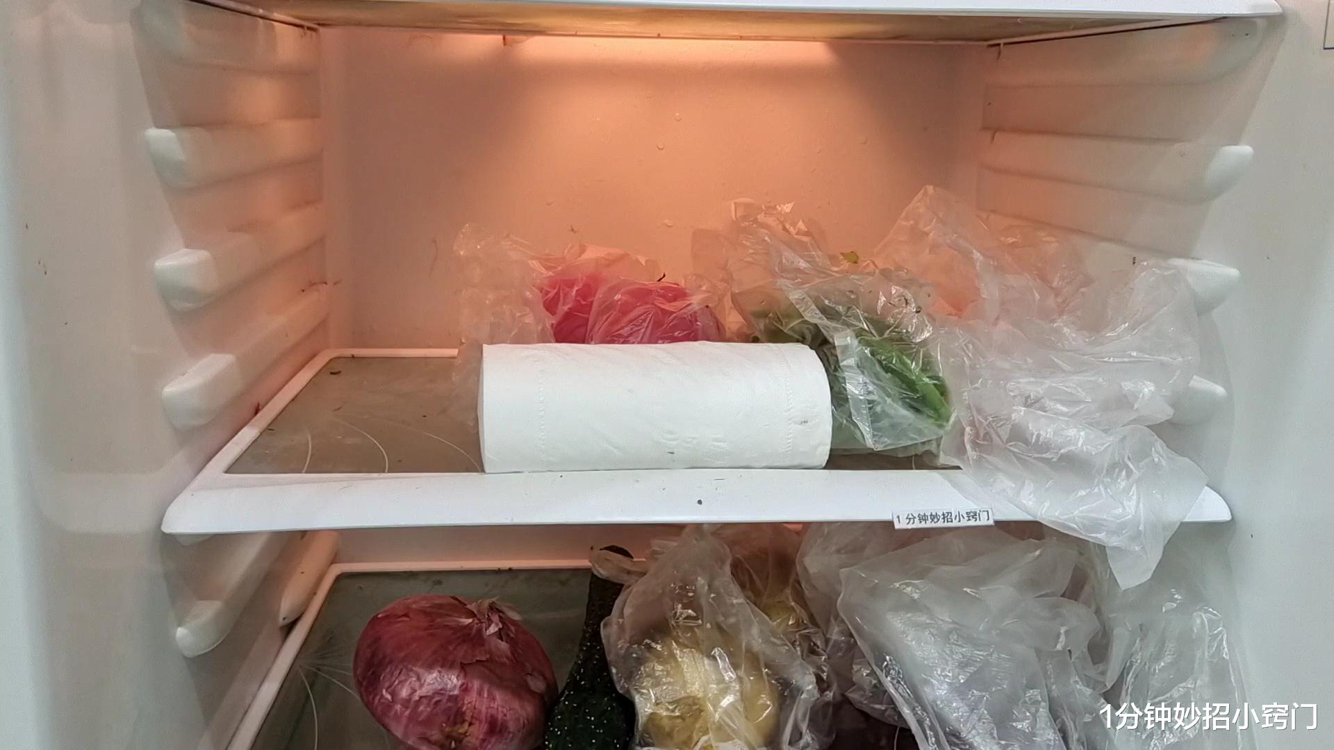 冰箱里塞一卷卫生纸，真是厉害，一年能省下好几百，看完试试
