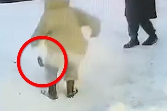 吉林一情侣打闹弄丢手机,大爷用雪掩埋后找准时机拿走,网友怒了