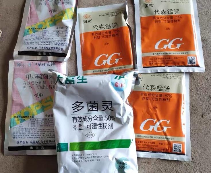 向阳园艺|多肉遇到病虫害！“蚍虫啉，多菌灵”必备药剂，杀虫除菌很有效