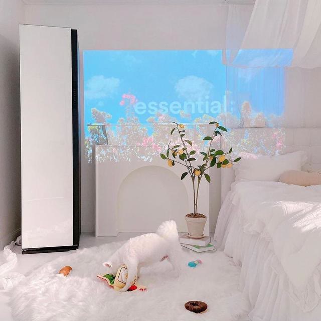 家居师太Monica|韩国太太因会布置而火遍网络，全屋简单治愈，唯美的堪比电影场景