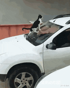 学姐说育儿|为什么内内上非要这东西,我感觉在针对有肚子的小姐姐!