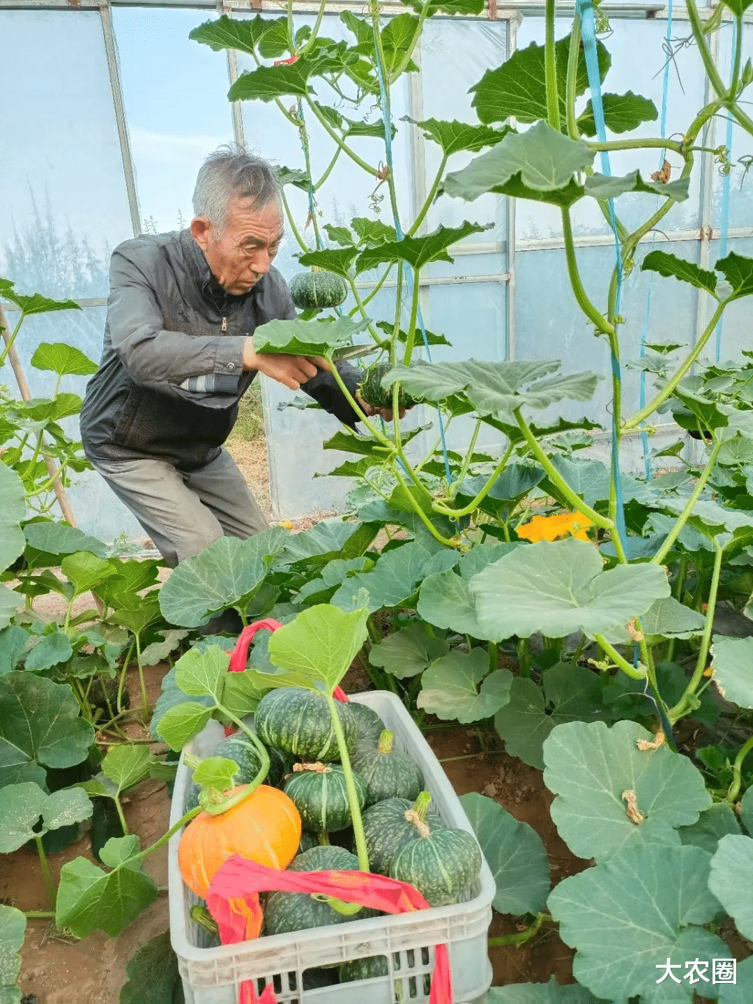 大农圈 益农社｜让每户年增收7500元——孙立学和他的益农信息社