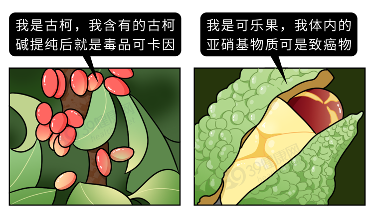 老年病|喝可乐不仅杀精,还会导致骨质疏松、腐蚀肠胃?是时候知道真相了