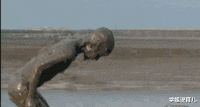 学姐说育儿|“早上在公园发现的,这里是不是发生了大战啊?”哈哈哈!