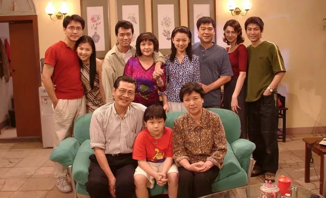 外来媳妇本地郎|《外来媳妇本地郎》康家第三代媳妇罗飞燕，像一只待回的候鸟