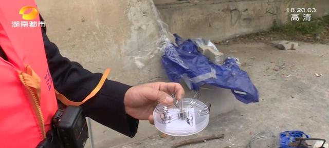 湖南|湖南最新明确！这类行为，将全面禁止！严重可追究刑事责任