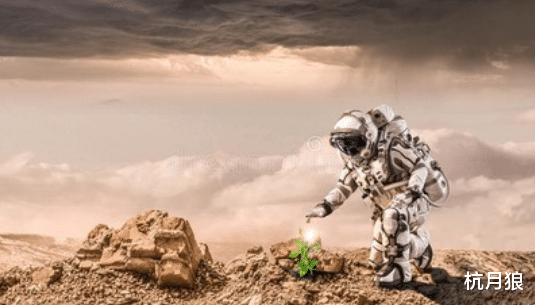 核酸检测 日本计划通过MMX探测器登陆火卫一，带回火星微生物的“尸体”