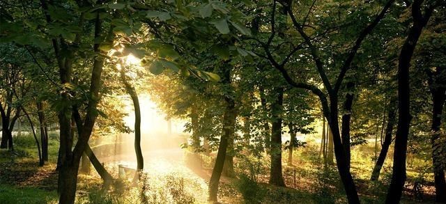 科学家 美科学家发现地球正“变绿”，原因就在中印，但专家对印度很担忧