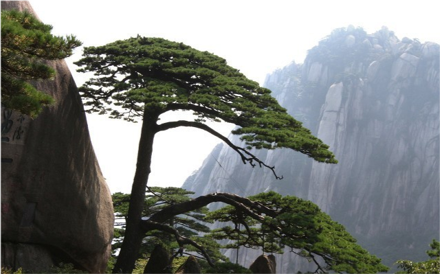 黄山 黄山市区划最佳布局，休宁和歙县设为区，同时修建北环高速公路