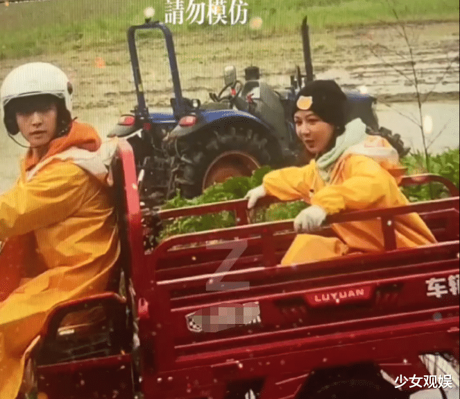 杨紫|澄清恋情后杨紫录综艺，跟张艺兴买菜又插秧，她的表情显二人关系