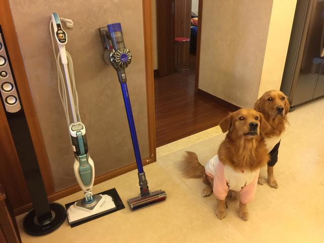 洗碗机|入住2年的家，总结出这些“翻车家电”，留着占地，丢掉又可惜