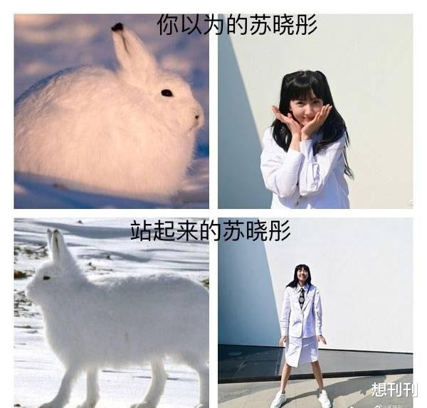 萝莉|萝莉脸太骗人！竟是隐形高个，看脸150看腿170，原来错怪男星矮了