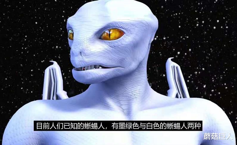 蘑菇巨人|星际麻烦制造者，天龙人的前世今生，在数千万年前布下的万古迷局