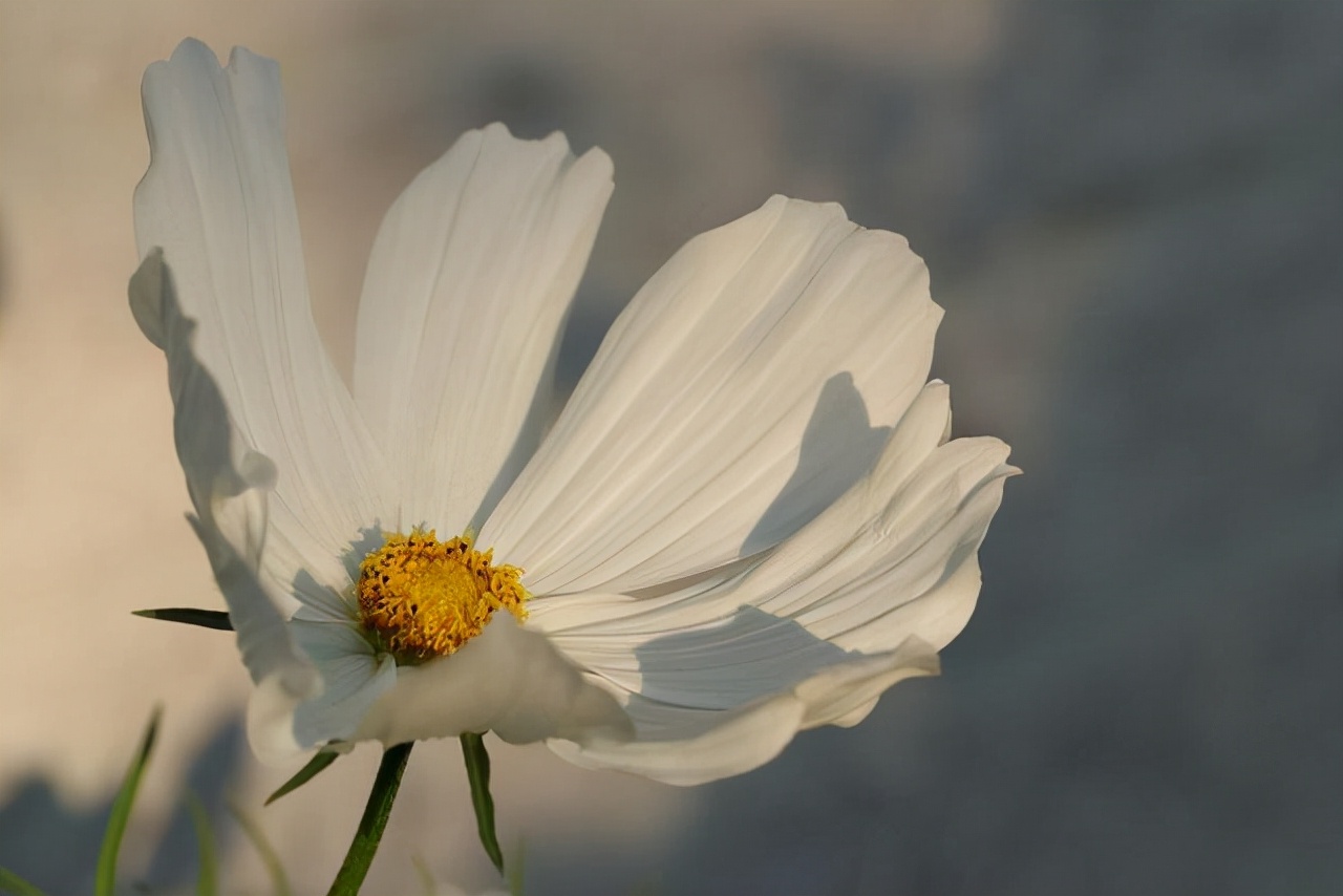 情感说心事|人这辈子，守住“三颗心”，福气自然来