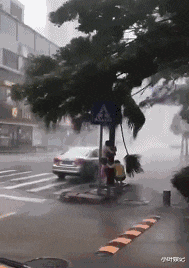 小叶娱记 以为女友家只是一般富裕，直到打开他爸的U盘，我呆住了