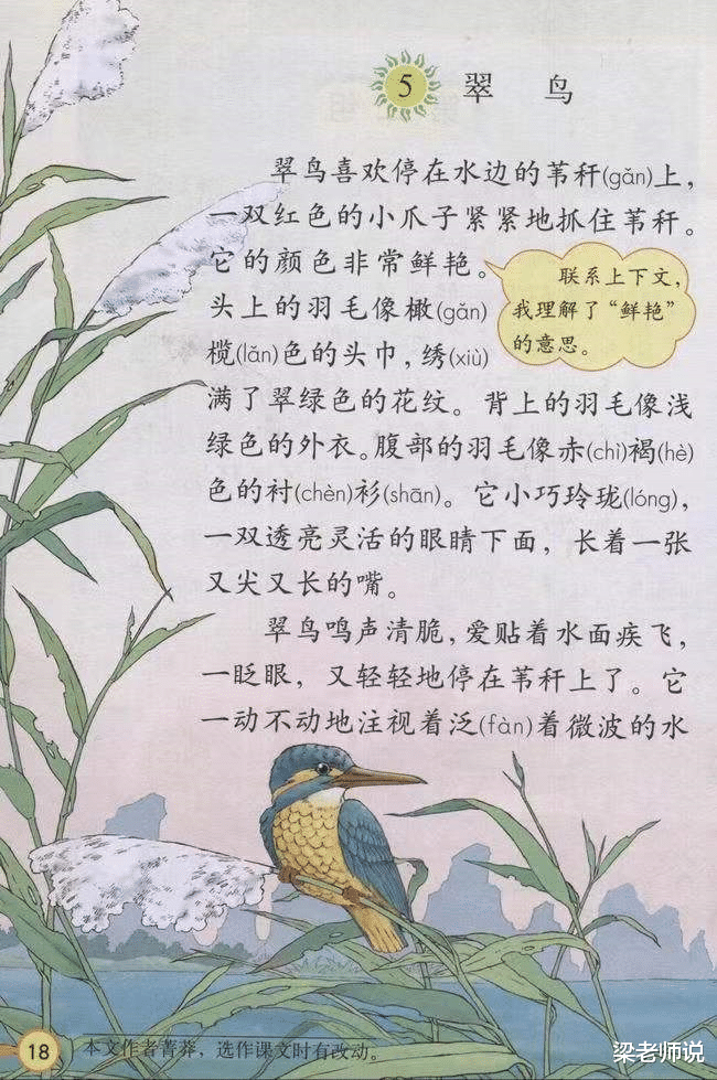素质教育|2021年关于语文书的盘点：那些年的赛跑和黑子，早已昙花一现