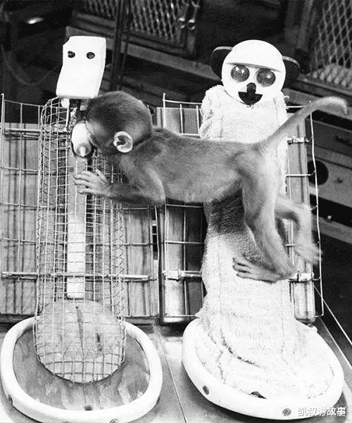 凯叔讲故事|“长期陪伴”和“缺少陪伴”的孩子，10年后差距竟然这么大……