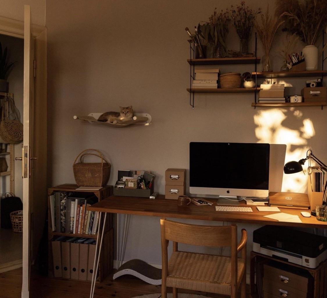 柏林女主的精致一人居:全屋被绿植包围,温暖治愈,超有格调!