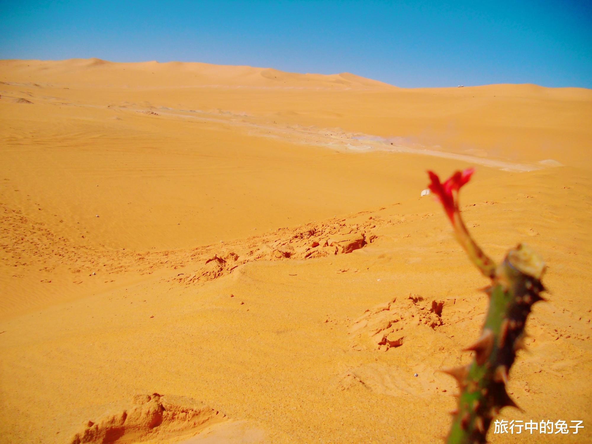 撒哈拉沙漠 撒哈拉的沙子平均深度为150米，下面有些什么？