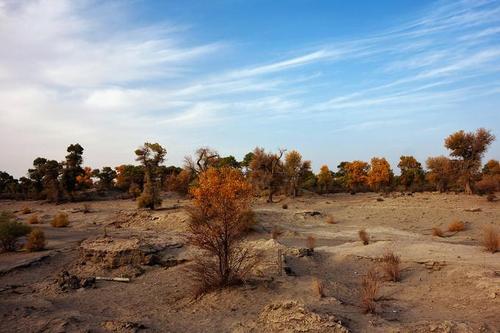 地球终极“魔鬼之域”罗布泊解密，是人类探险的最后一块乐土