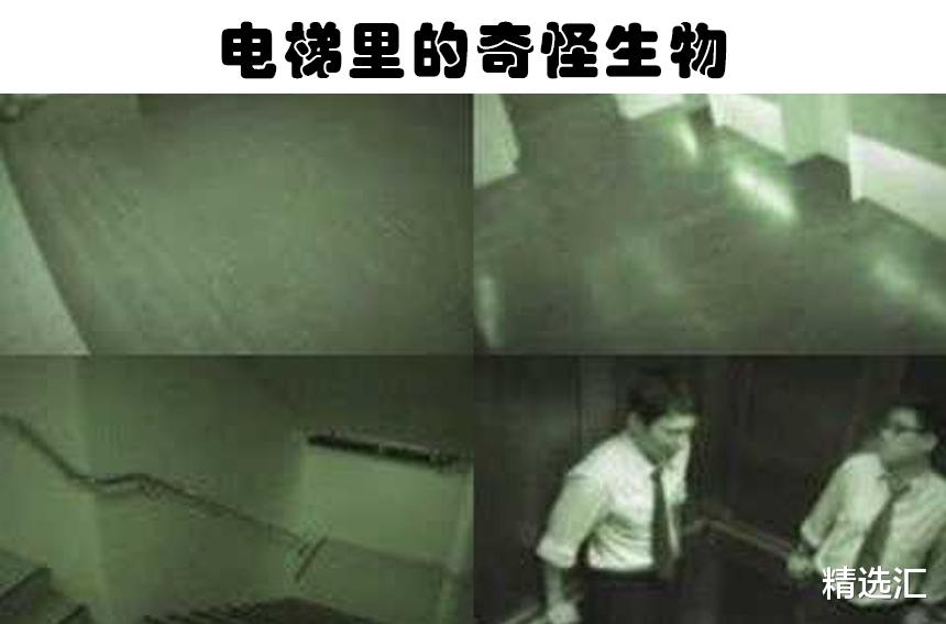 货车 在电梯里被摄像头记录下来的5个可怕的影像
