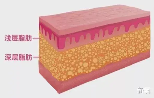 生图|21岁的刘浩存撞上41岁的张柏芝,这生图有点欺负人了