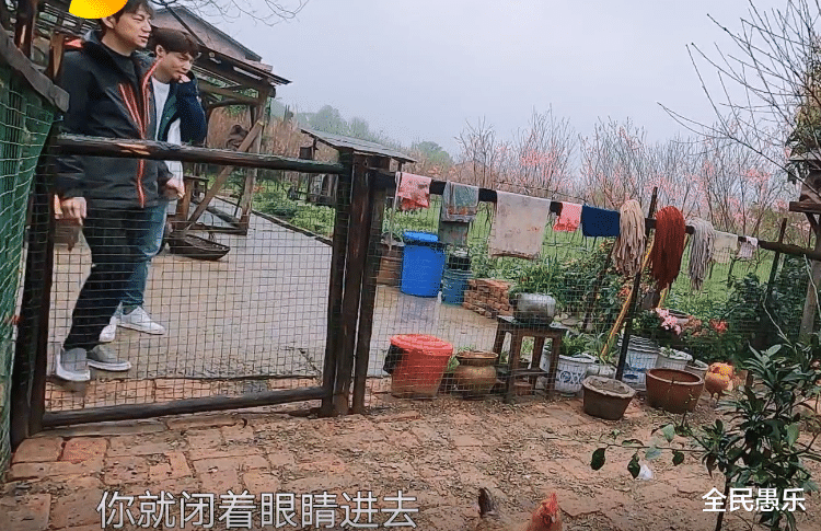 全民愚乐 张艺兴害怕尖嘴动物,努力和鸡鸭保持距离,何炅的处理方式很暖心