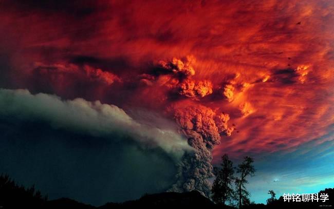 科学家 长颈鹿或将消失！超3.8万物种面临灭绝，第6次生物大灭绝正在发生