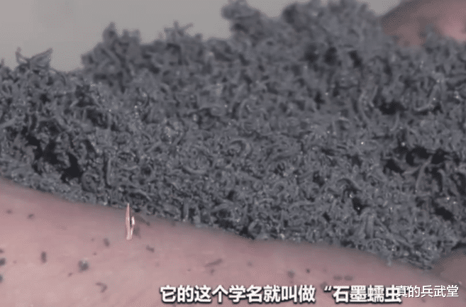 F-35|国产新型“石墨蠕虫”武器？干扰电磁波，让F35和反坦克武器失效