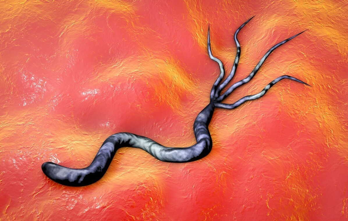 山楂|吃一口等于4斤卷心菜，医生：敞开冲走幽门菌，胃或会感激你