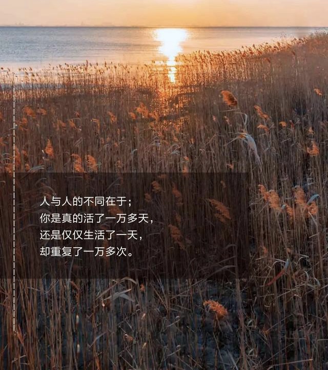 小飞侠熙熙 一直陪着你的，只有自己！