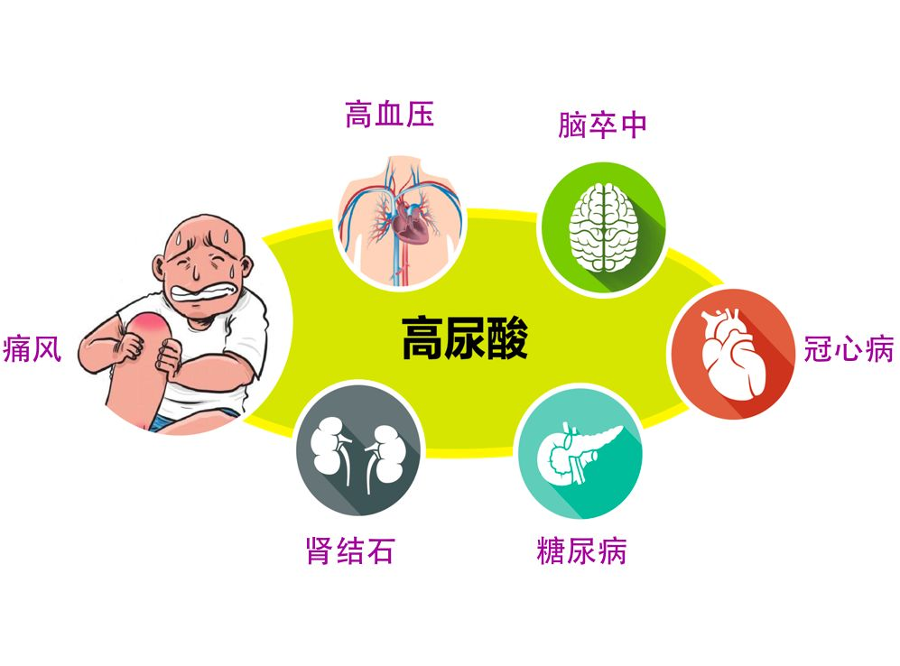 羊肉|痛风“根源”已找到，羊肉排在倒数，医生：不想肾衰找上门，趁早戒掉