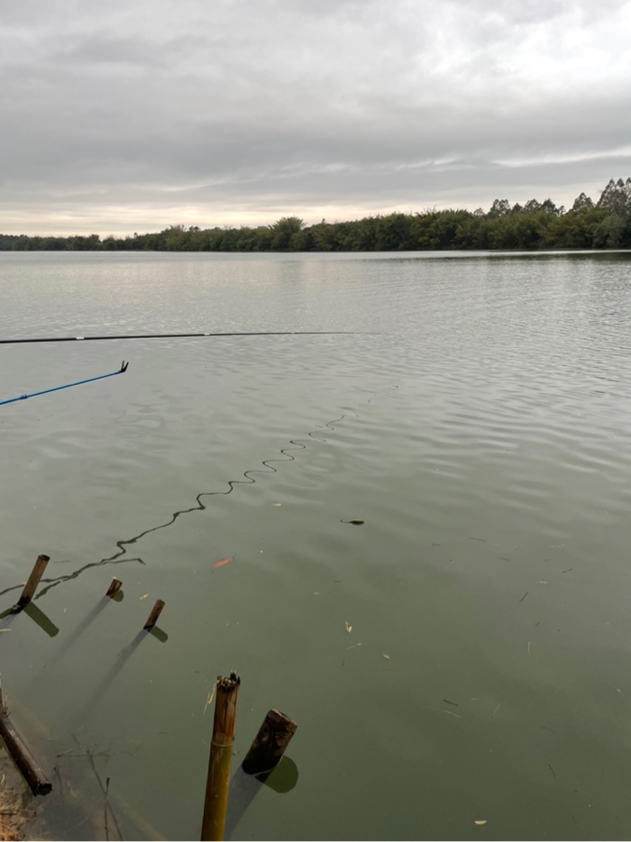 钓鱼|降温阴雨天出钓 鱼获少少少