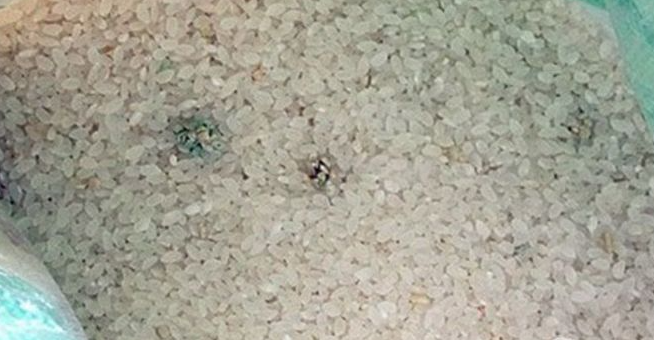 甲状腺癌|可怜天下父母心，患者确诊甲状腺癌，令人惋惜：这类食物怎么能多吃